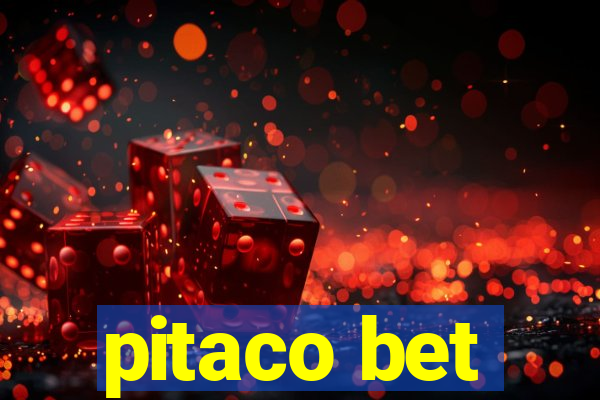 pitaco bet