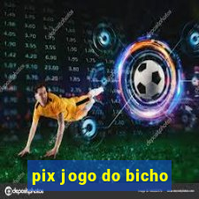 pix jogo do bicho