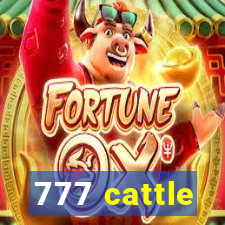 777 cattle