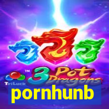 pornhunb