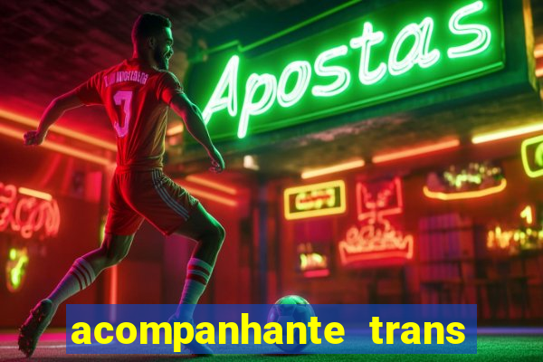 acompanhante trans porto seguro