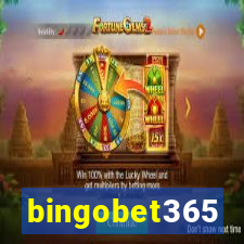 bingobet365