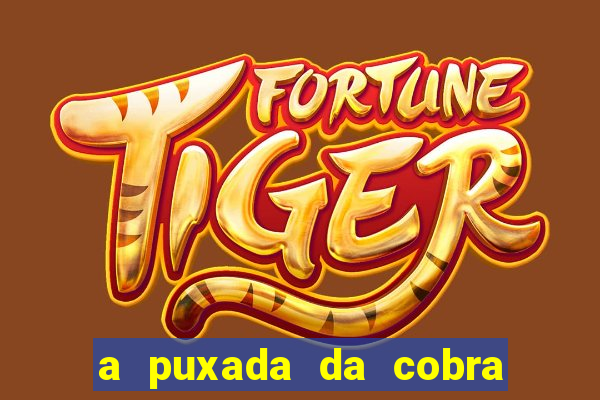 a puxada da cobra no jogo do bicho