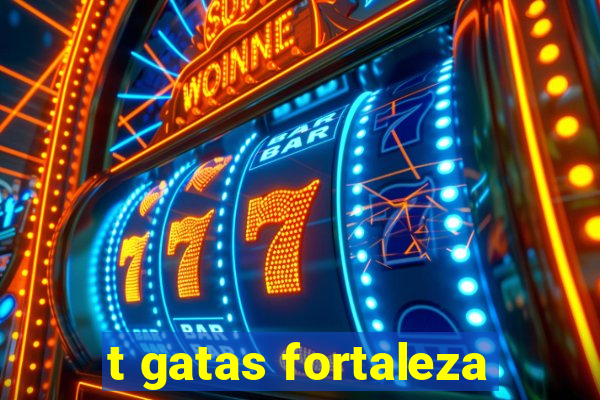 t gatas fortaleza