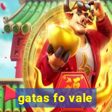 gatas fo vale