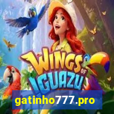 gatinho777.pro