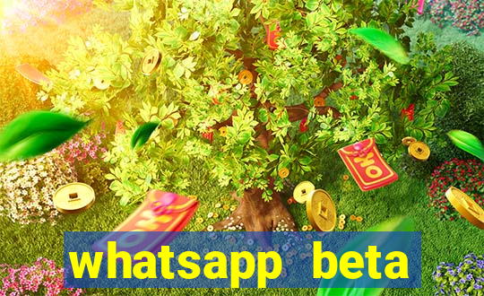 whatsapp beta mirror apk