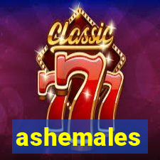 ashemales